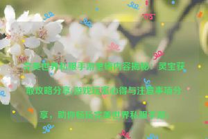 完美世界私服手游重磅内容揭秘：灵宝获取攻略分享(游戏玩家心得与注意事项分享，助你畅玩完美世界私服手游)