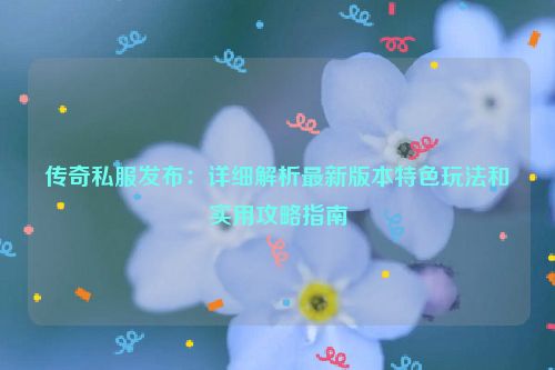 传奇私服发布：详细解析最新版本特色玩法和实用攻略指南