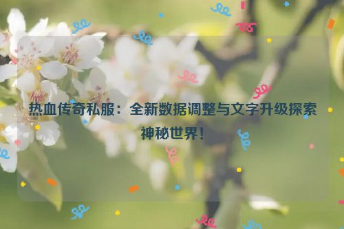 热血传奇私服：全新数据调整与文字升级探索神秘世界！