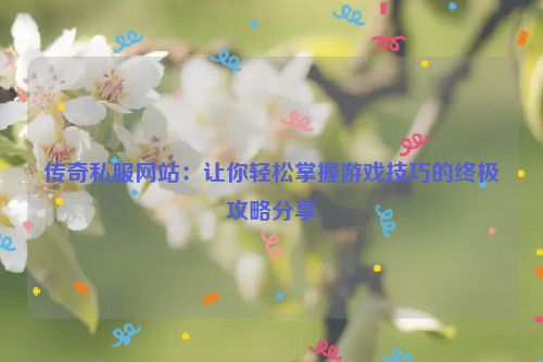 传奇私服网站：让你轻松掌握游戏技巧的终极攻略分享