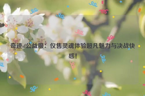 奇迹sf公益服：仅售灵魂体验超凡魅力与决战快感！