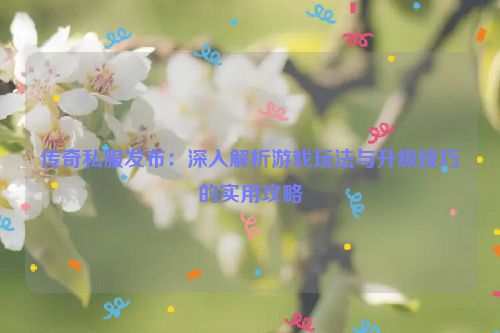 传奇私服发布：深入解析游戏玩法与升级技巧的实用攻略