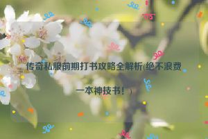 传奇私服前期打书攻略全解析(绝不浪费一本神技书！)