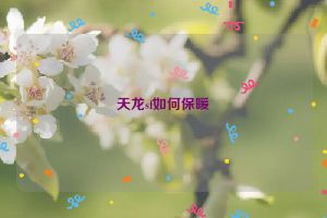 天龙sf如何保暖