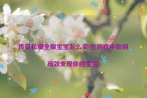 传奇私服全服宝宝怎么卖(在游戏中如何高效变现你的宝宝)