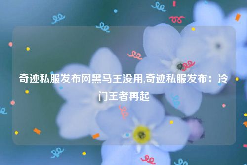 奇迹私服发布网黑马王没用,奇迹私服发布：冷门王者再起