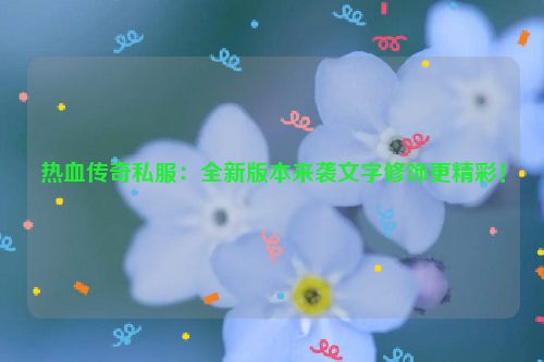 热血传奇私服：全新版本来袭文字修饰更精彩！