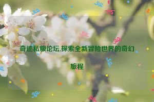 奇迹私服论坛,探索全新冒险世界的奇幻旅程