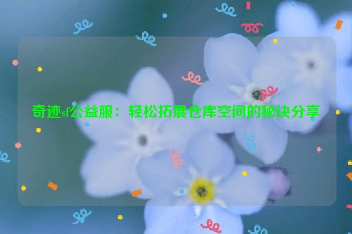 奇迹sf公益服：轻松拓展仓库空间的秘诀分享