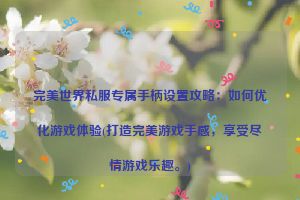 完美世界私服专属手柄设置攻略：如何优化游戏体验(打造完美游戏手感，享受尽情游戏乐趣。)