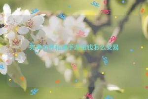 完美世界私服手游金钱怎么交易