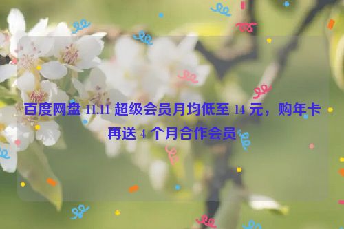 百度网盘 11.11 超级会员月均低至 14 元，购年卡再送 4 个月合作会员