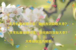 天龙私服攻略分享：如何有效刷取大本？(天龙私服攻略分享：如何高效获取大本？  大本刷取技巧解析)