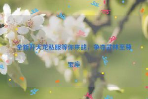 全新开天龙私服等你来战，争夺武林至尊宝座