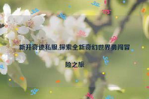 新开奇迹私服,探索全新奇幻世界勇闯冒险之旅