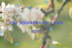 天龙sf：如何获得虎眼石(天龙sf：开启寻宝之路)