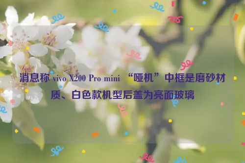 消息称 vivo X200 Pro mini “哑机”中框是磨砂材质、白色款机型后盖为亮面玻璃