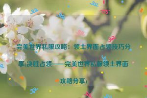 完美世界私服攻略：领土界面占领技巧分享(决胜占领——完美世界私服领土界面攻略分享)