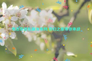 变态奇迹私服发布网,奇幻之旅等你来战